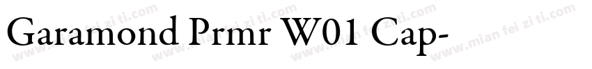Garamond Prmr W01 Cap字体转换
